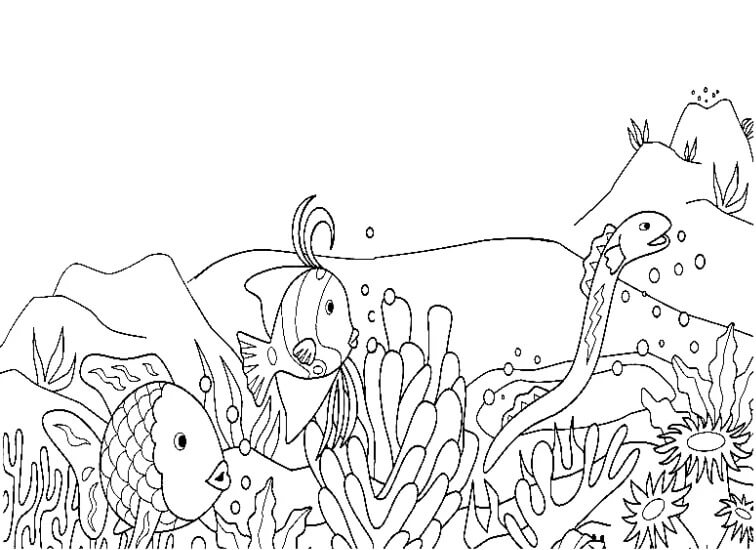Rainbow Fish Free Images coloring page Download, Print or Color