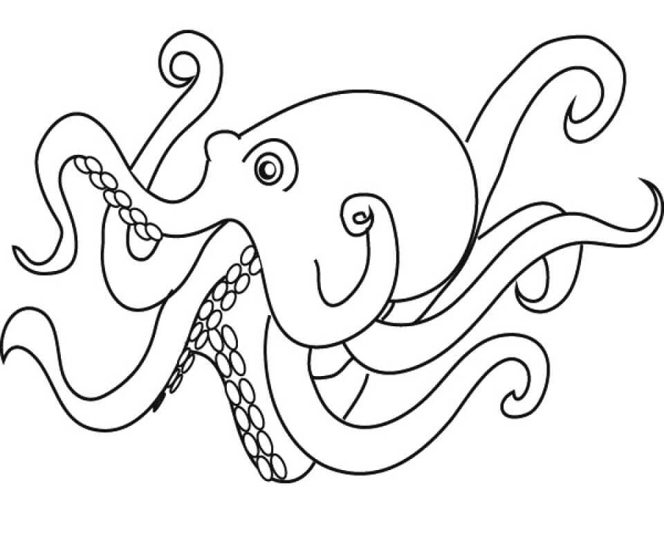 Very Easy Octopus coloring page Download, Print or Color Online for Free