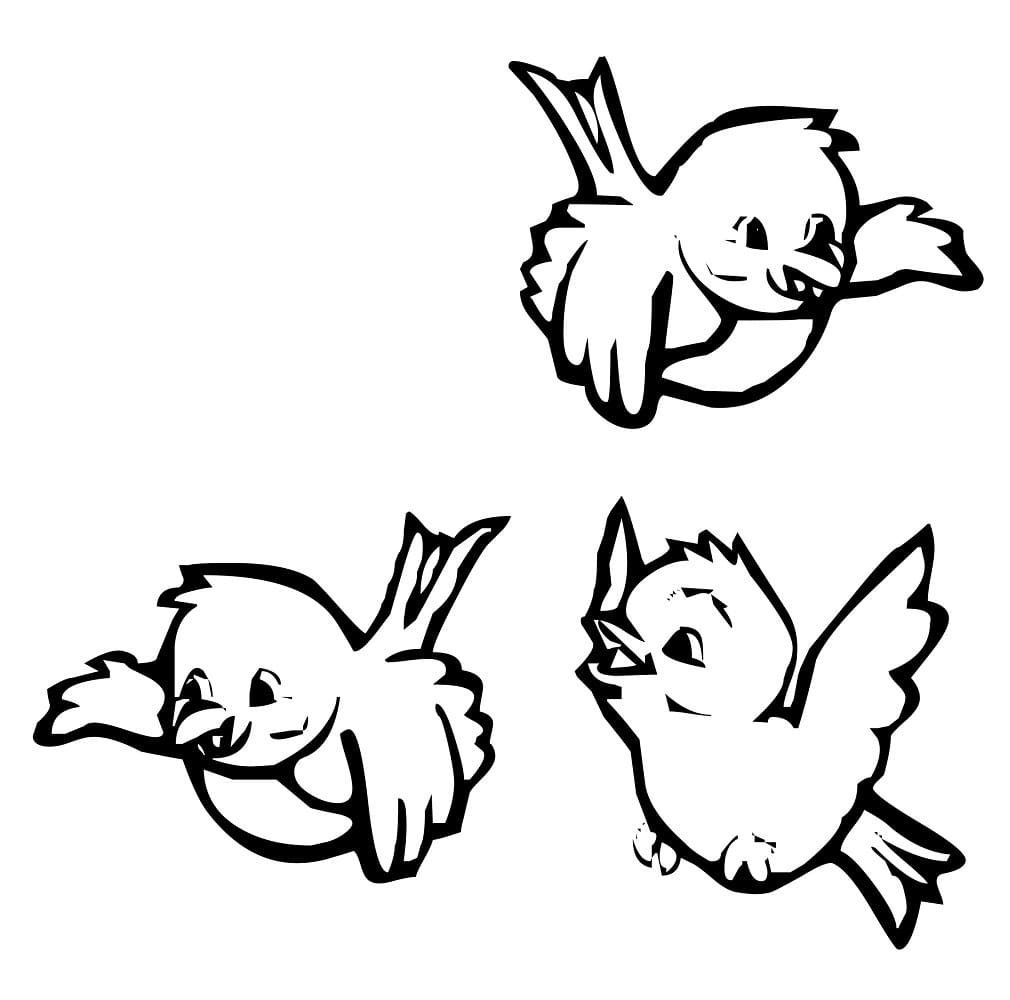 Small Birds coloring page Download, Print or Color Online for Free