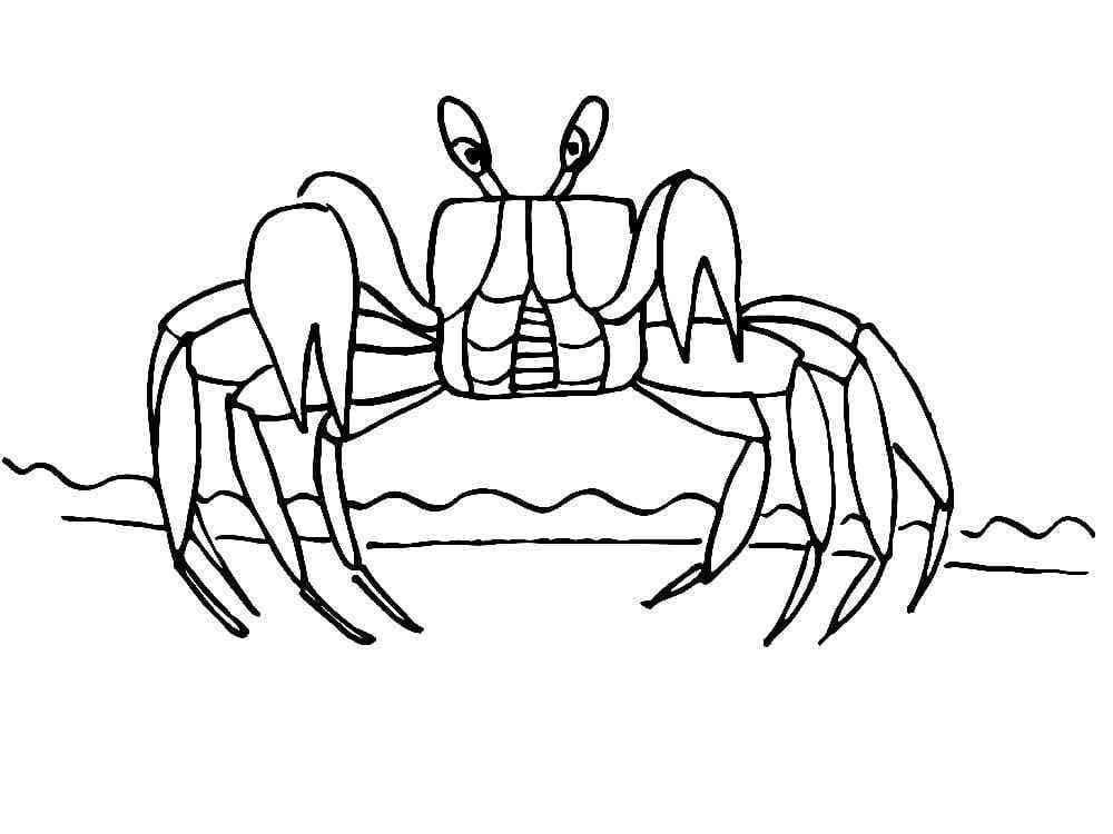 Walking Crab coloring page Download, Print or Color Online for Free