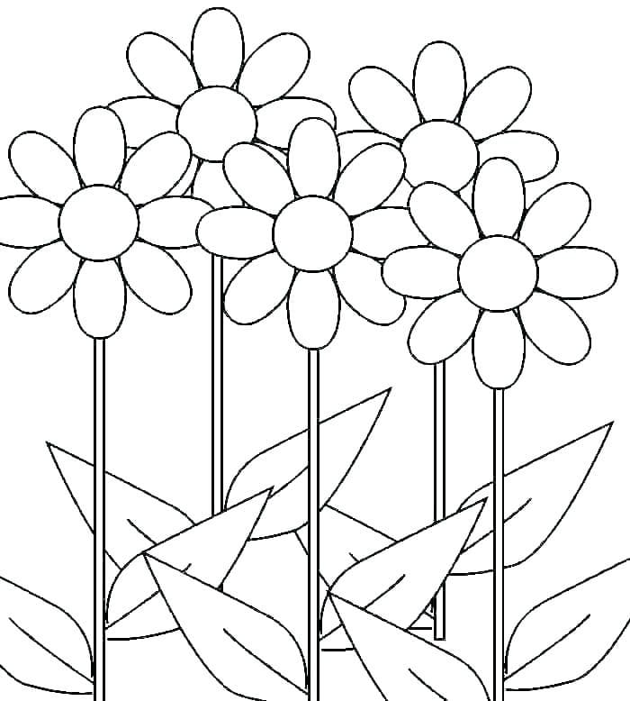Simple Daisies coloring page Download, Print or Color Online for Free