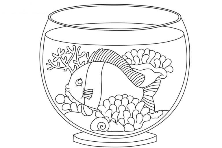 Basic Aquarium coloring page Download, Print or Color Online for Free