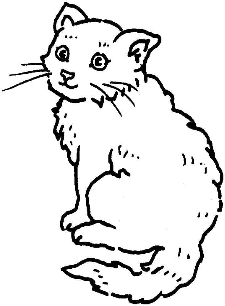 Cute Cat coloring page Download, Print or Color Online for Free