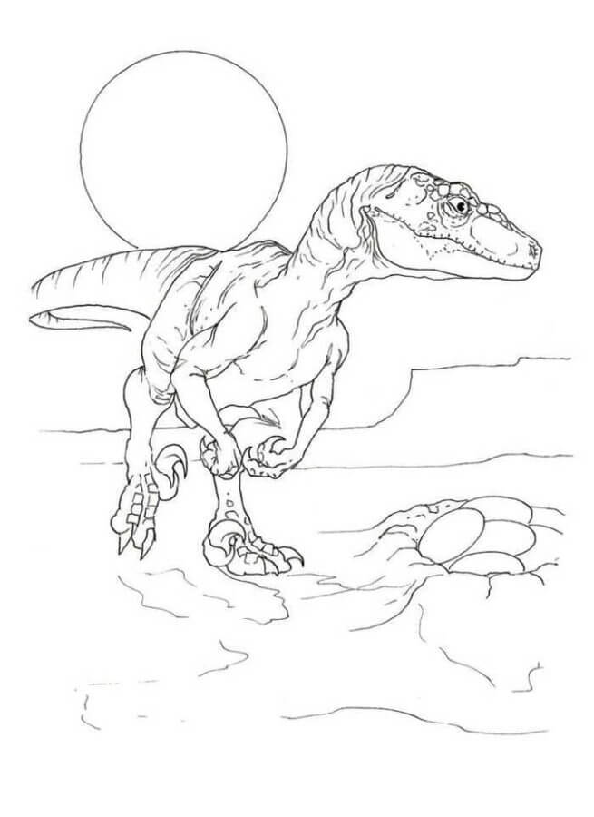 Dinosaur Nest Coloring Page