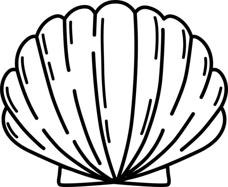 Large Black Seashell coloring page Download, Print or Color Online