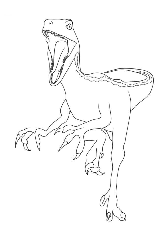 Simple Velociraptor coloring page Download, Print or Color Online for