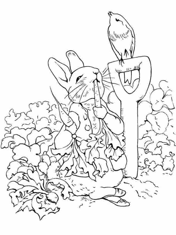 Peter Rabbit Coloring Pages Free Printable - Printable Free Templates