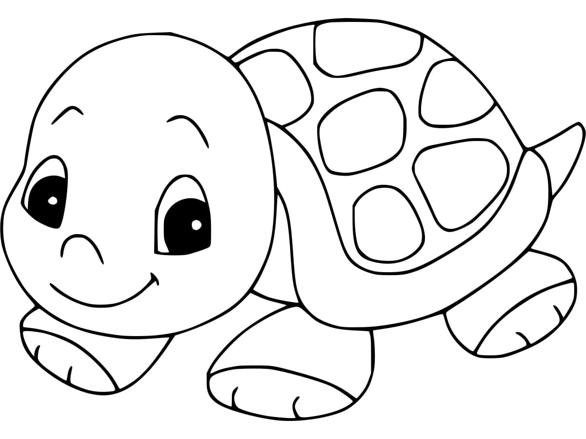 A Cute Tortoise coloring page Download, Print or Color Online for Free