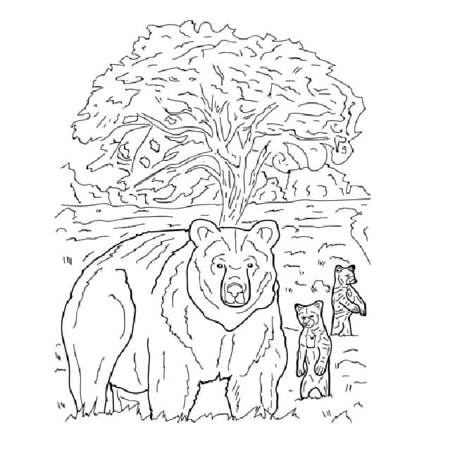 Nevada bears coloring page Download, Print or Color Online for Free