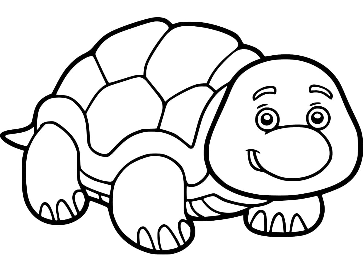 Smiling Tortoise coloring page Download, Print or Color Online for Free