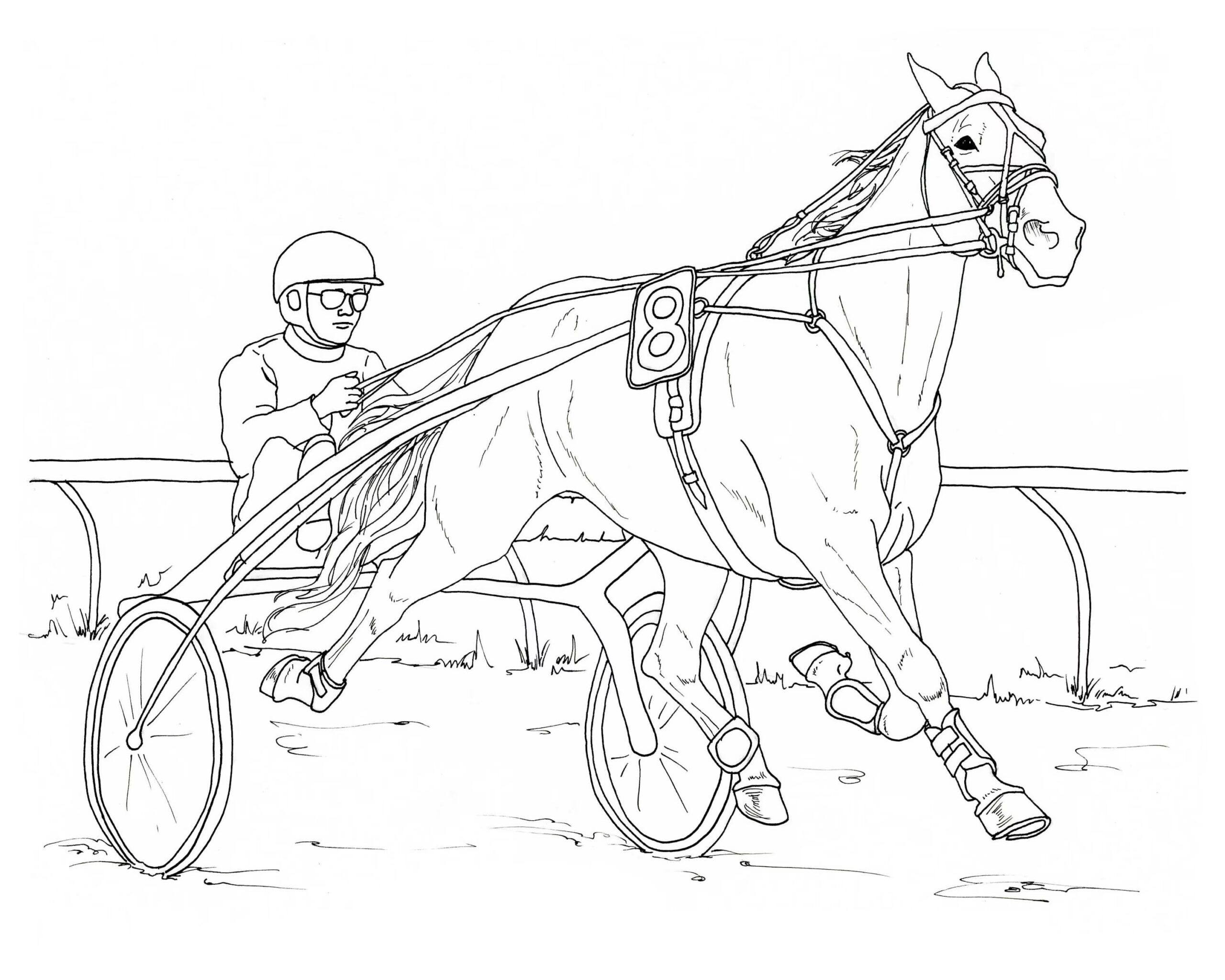 Harness Racing coloring page Download, Print or Color Online for Free