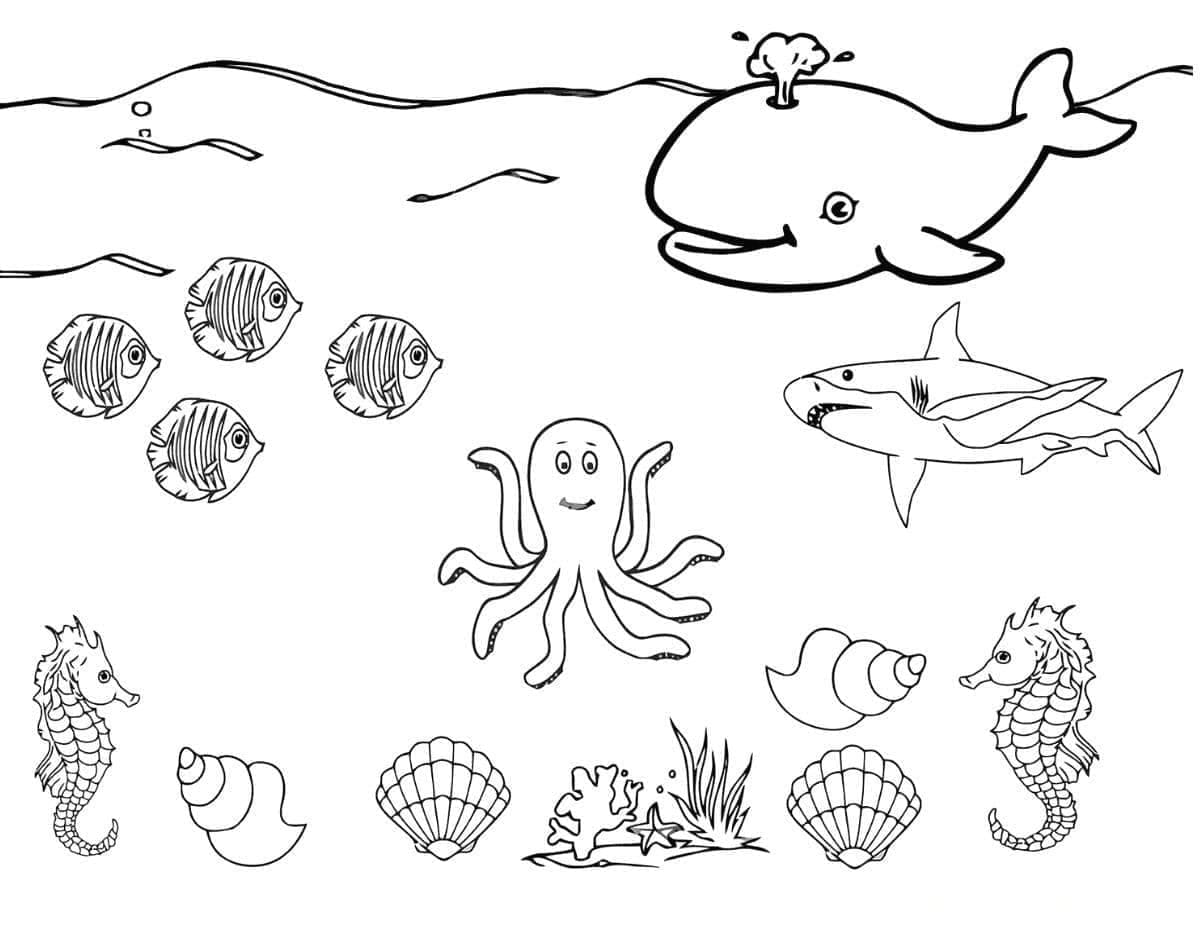 Print Ocean Creatures coloring page Download, Print or Color Online