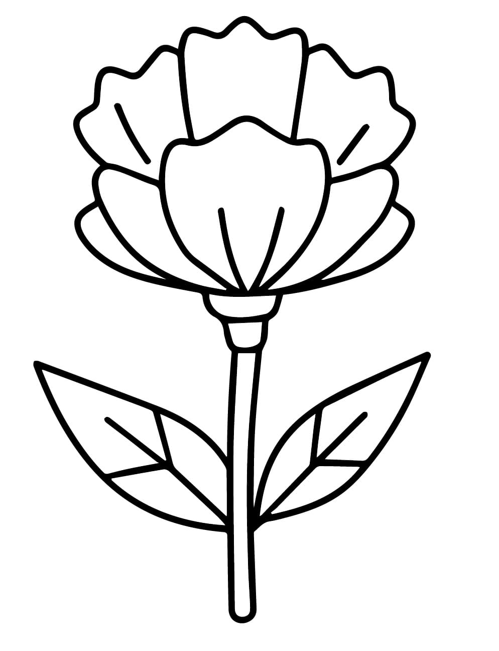 Simple Carnation Flower coloring page Download, Print or Color Online