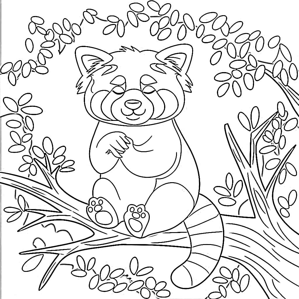 Cheerful Red Panda coloring page Download, Print or Color Online for Free