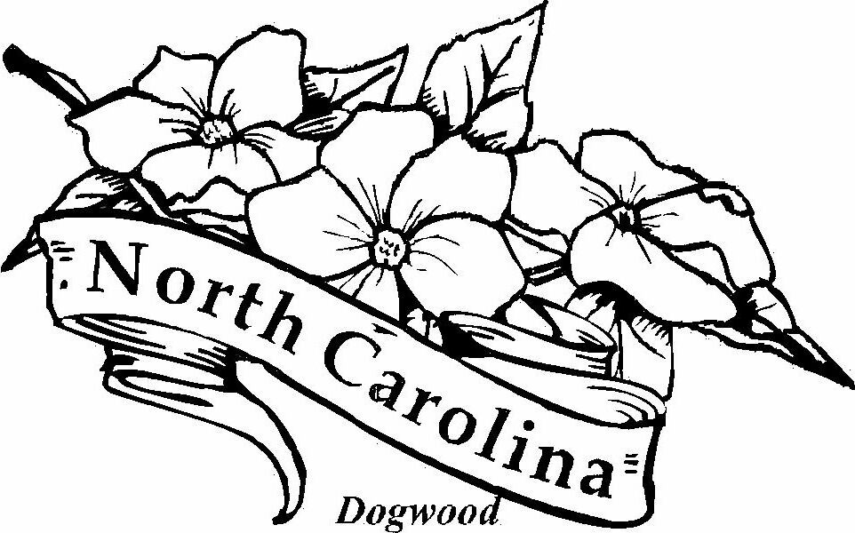 South Carolina State Flower And Bird Coloring Page South Carolina