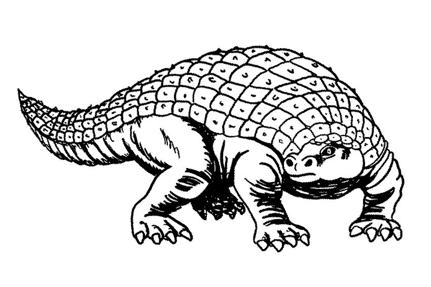 Dino Dan Coloring Page Coloring Nation