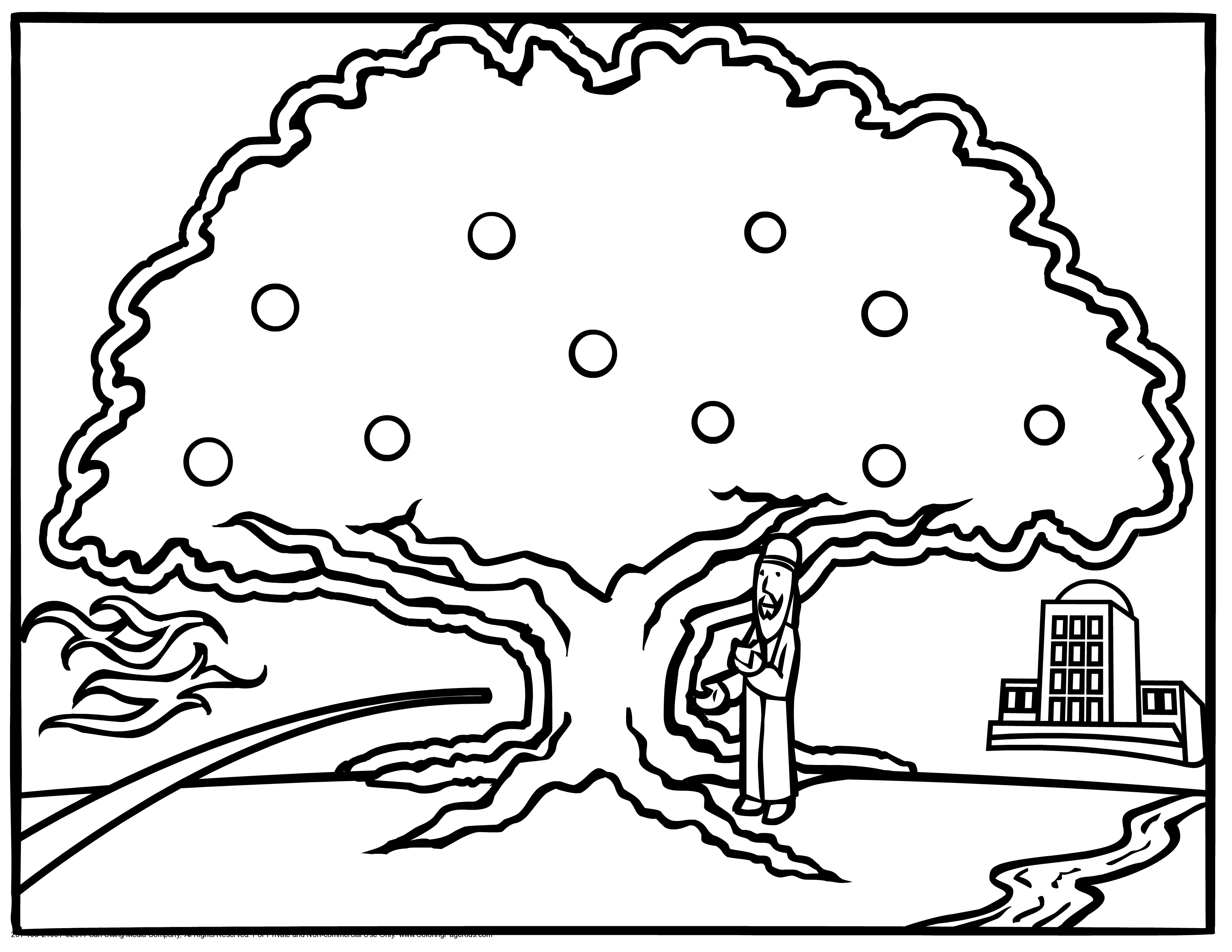 Kapok Tree Coloring Page Coloring Nation