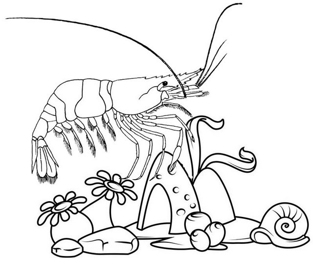 The Ollie And Moon Coloring Pages Coloring Nation