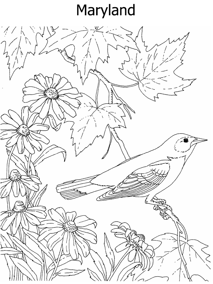 Dltk Fall Coloring Page Coloring Nation
