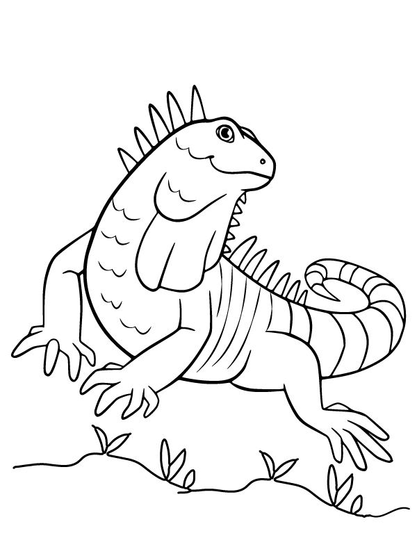 Bearded Dragon Coloring Pages