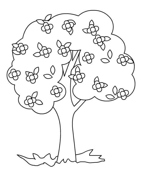 Spring Tree Coloring Pages