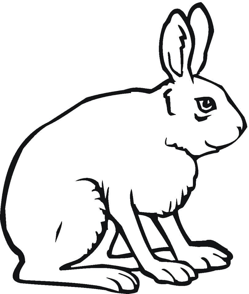 Cute Baby Rabbit Coloring Page Free Printable Coloring Pages for Kids