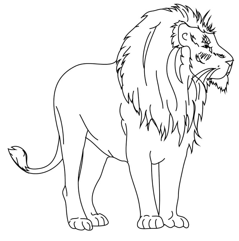 Lion Outline Coloring Page Free Printable Coloring Pages for Kids