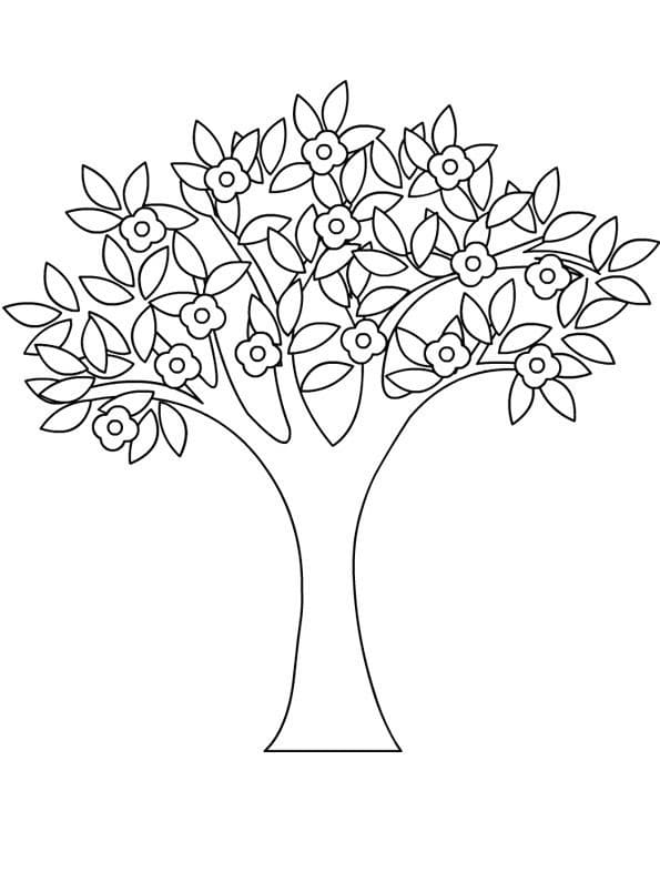 Printable Spring Tree Coloring Page Free Printable Coloring Pages for