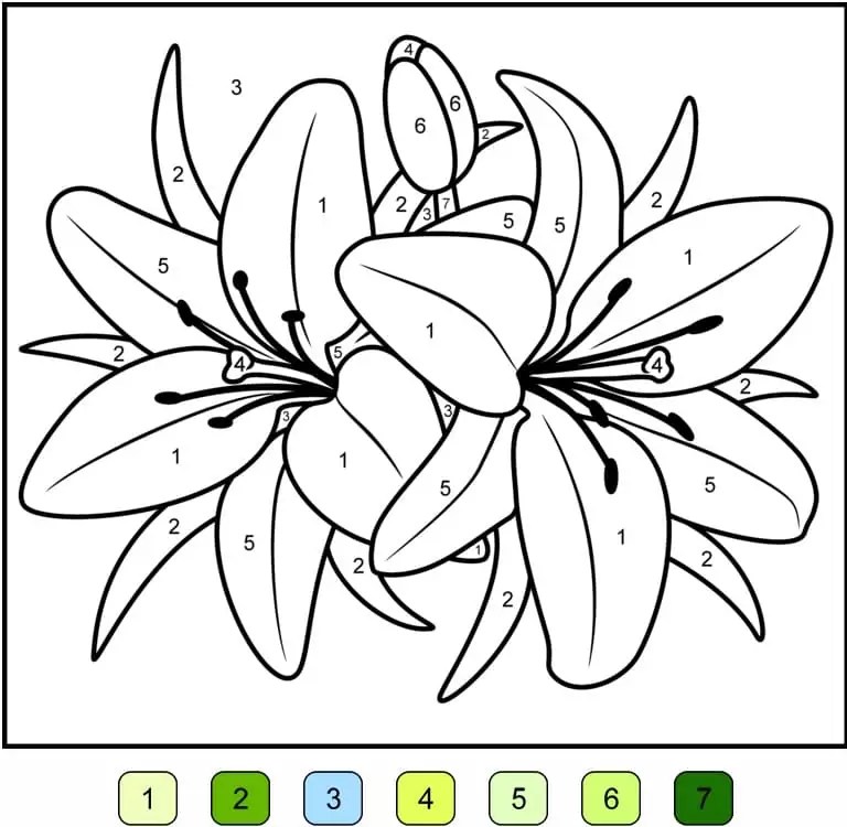 Flower Color by Number Coloring Page