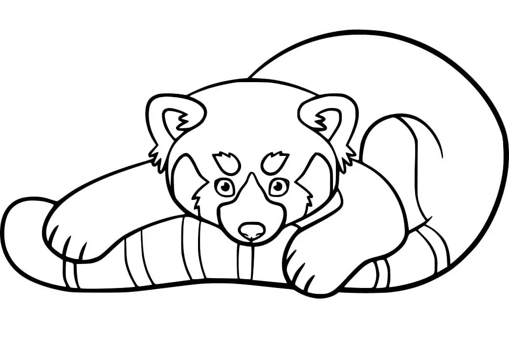 Red Panda on Ground Coloring Page Free Printable Coloring Pages for Kids
