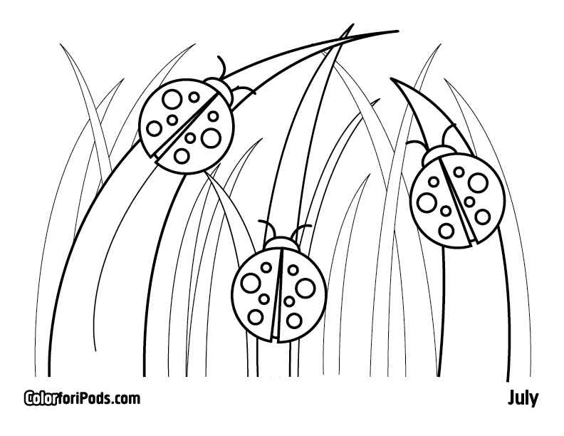 printable coloring pages of ladybugs