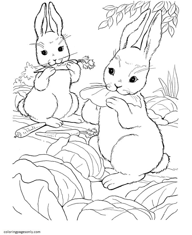 Original And Sweet Rabbit Coloring Pages I Heart.