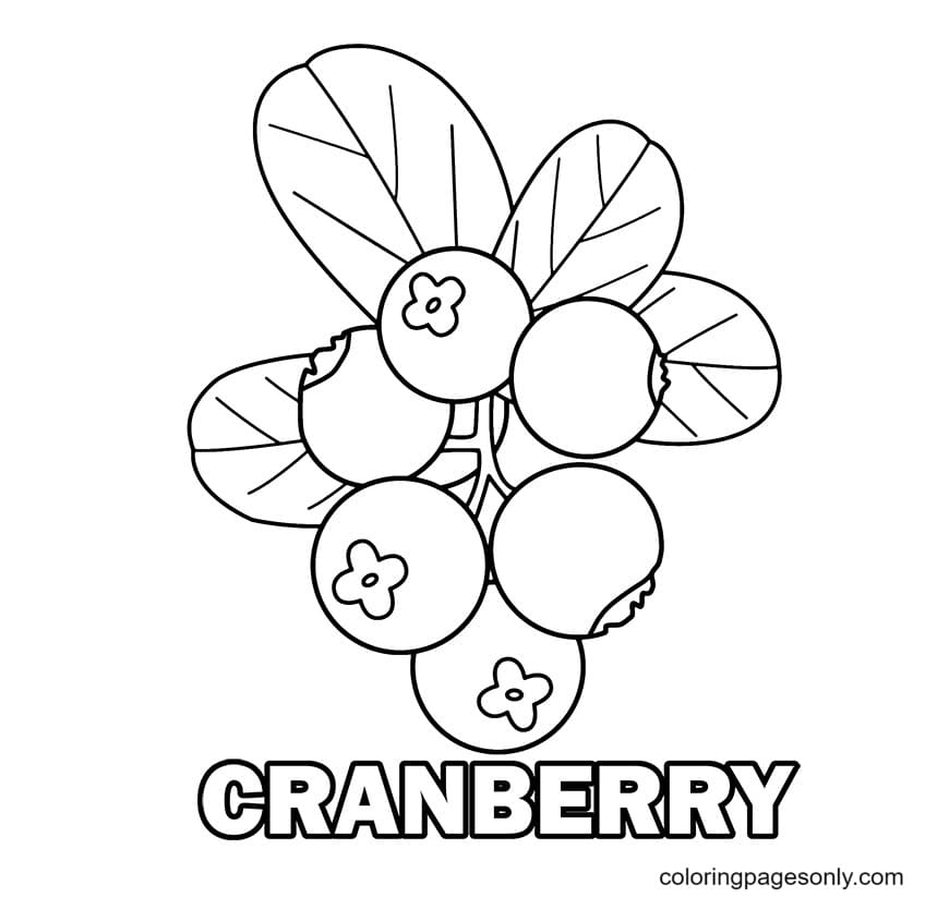 Cranberry Coloring Page Free Printable Coloring Pages