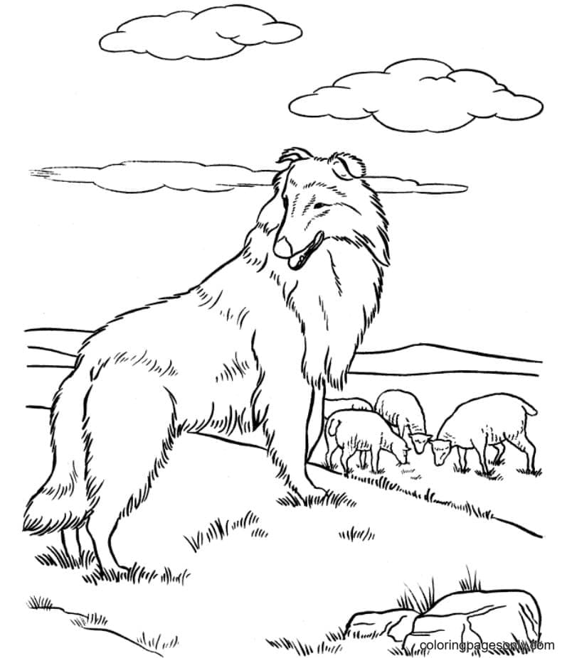 Cute German Shepherd Puppy Coloring Pages Free Printable Coloring Pages