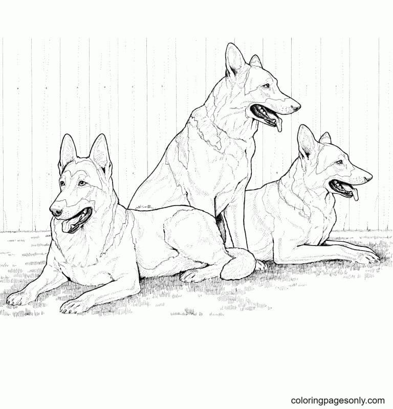 39 German Shepherd Coloring Pages Free & Printable for Kids and Adults