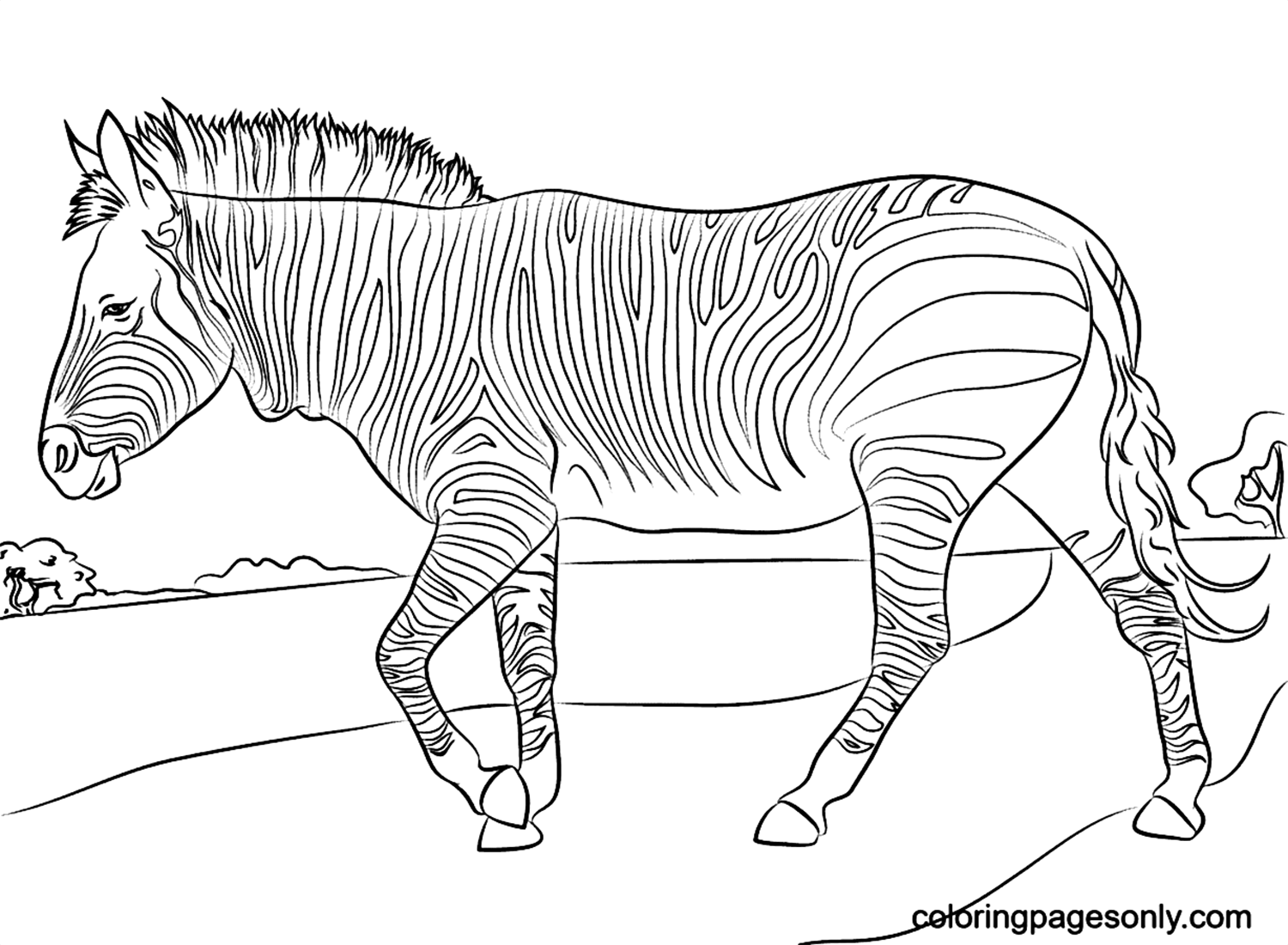 Zebra Coloring Sheet Zebra Coloring Pages Coloring Pages For Kids