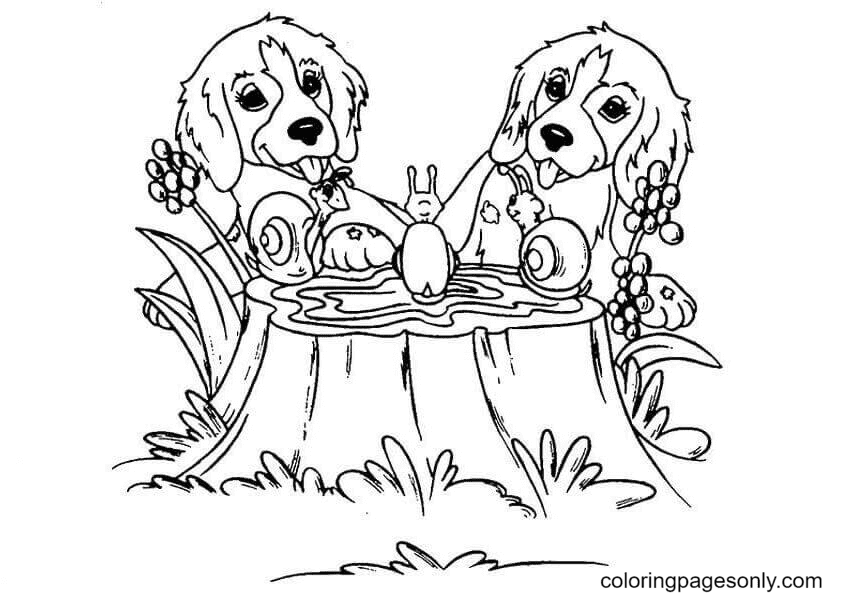 Casey and Caymus Coloring Page Free Printable Coloring Pages
