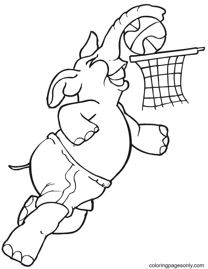 Elephant Playing Basketball Coloring Page Free Printable Coloring Pages