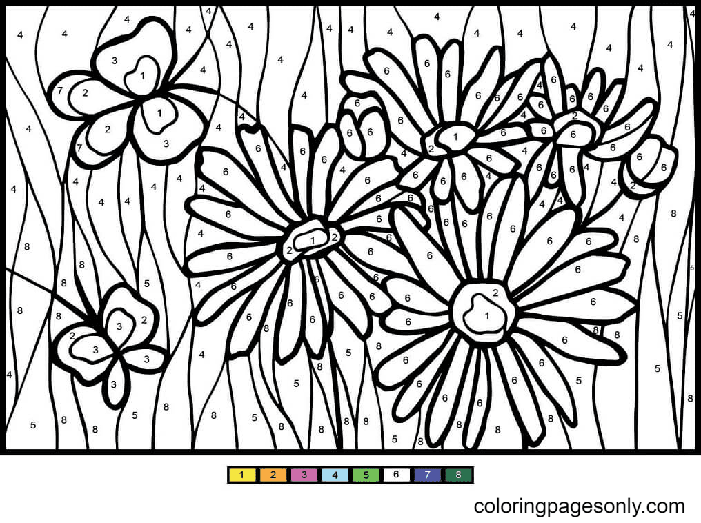 Airplane Color by Number Coloring Pages - Color by Number Coloring
