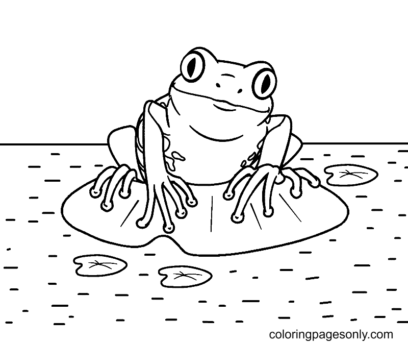 Free Printable Frog Coloring Pages Frog Coloring Pages Coloring
