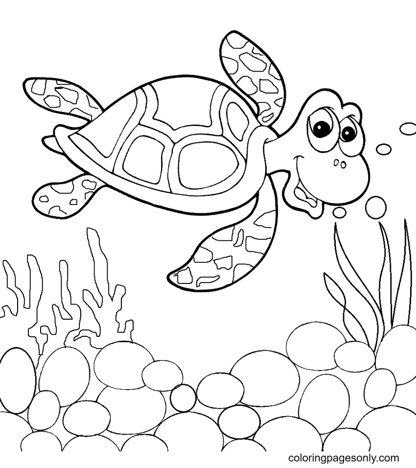 Nemo Sea Turtle Coloring Page Free Printable Coloring Pages
