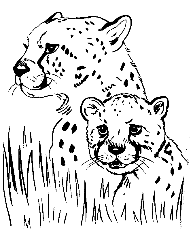 Mom Cheetah and Baby Cheetah Coloring Page Free Printable Coloring Pages