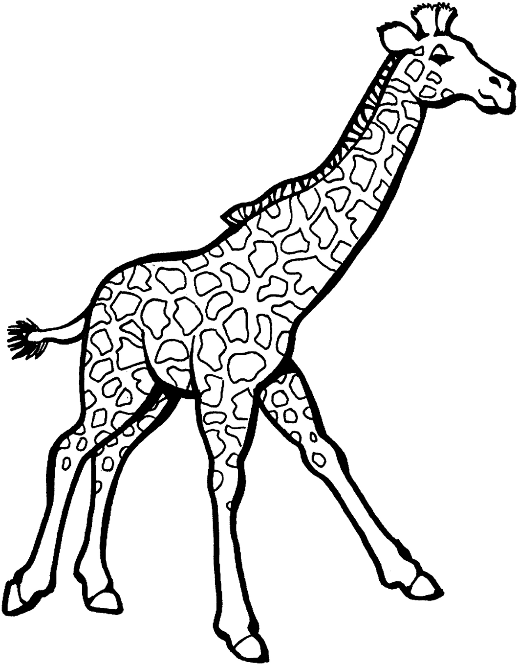 Giraffes Coloring Pages Coloring Pages For Kids And Adults