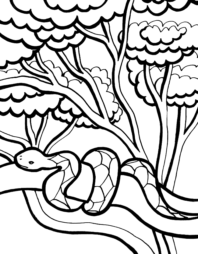 30+ Jungle Coloring Pages Free Printable PDF & Online Coloring