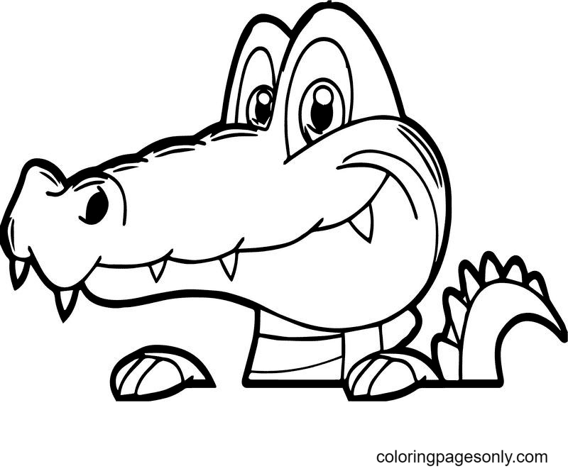 64 Free Printable Alligator Coloring Pages
