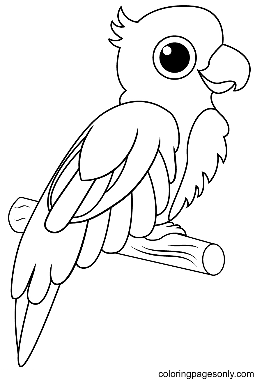 Parrot Coloring Page