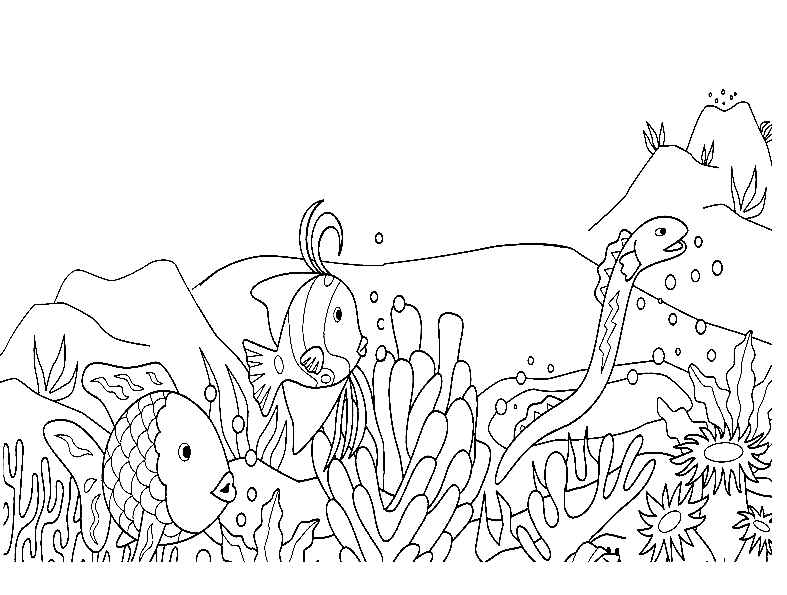 Rainbow Fish Printable Coloring Page Free Printable Coloring Pages