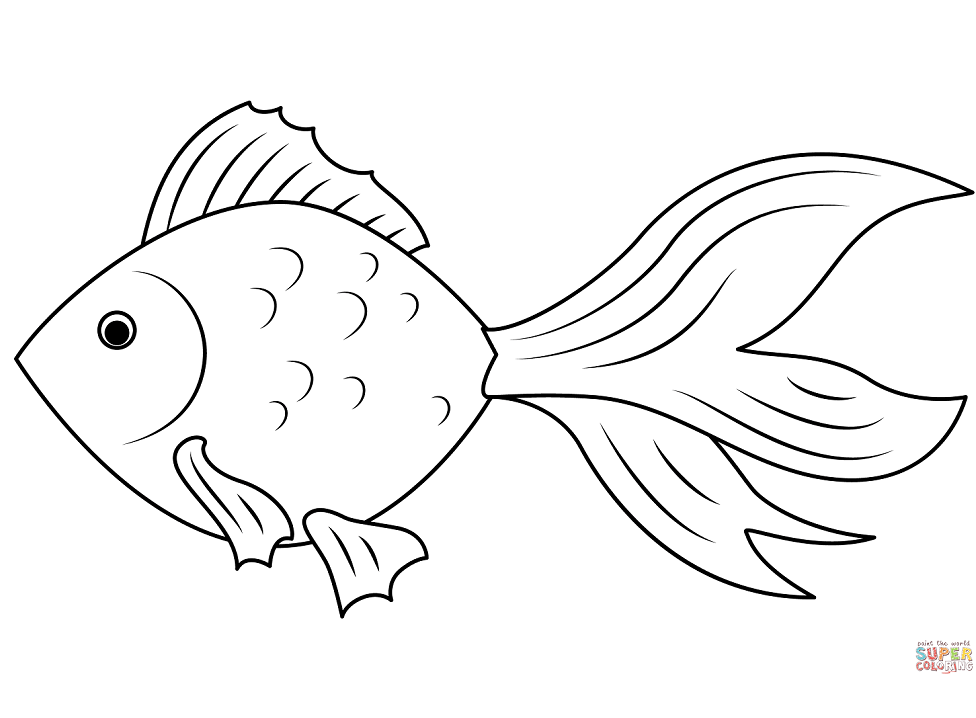 56 Goldfish Coloring Pages - ColoringPagesOnly.com