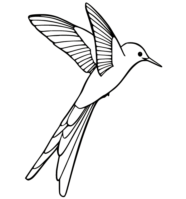 Zentangle Hummingbird Coloring Page - Free Printable Coloring Pages
