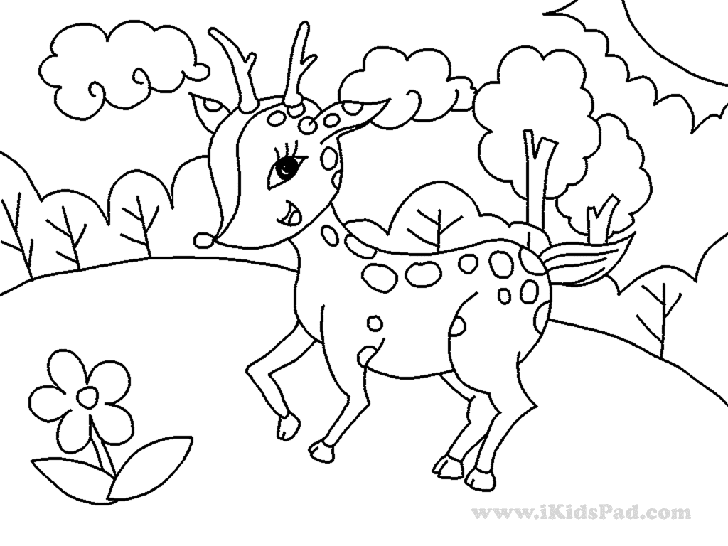 Cute Fawn Coloring Page Free Printable Coloring Pages